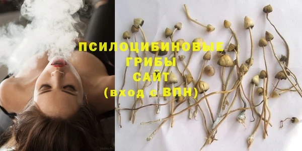 а пвп мука Заводоуковск