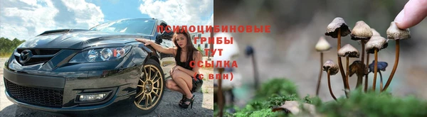 а пвп мука Заводоуковск