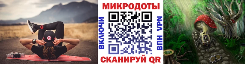 Галлюциногенные грибы Psilocybe  Купить закладки  Белоусово 