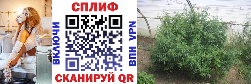 Бошки Шишки Bruce Banner  Купить  Белоусово 
